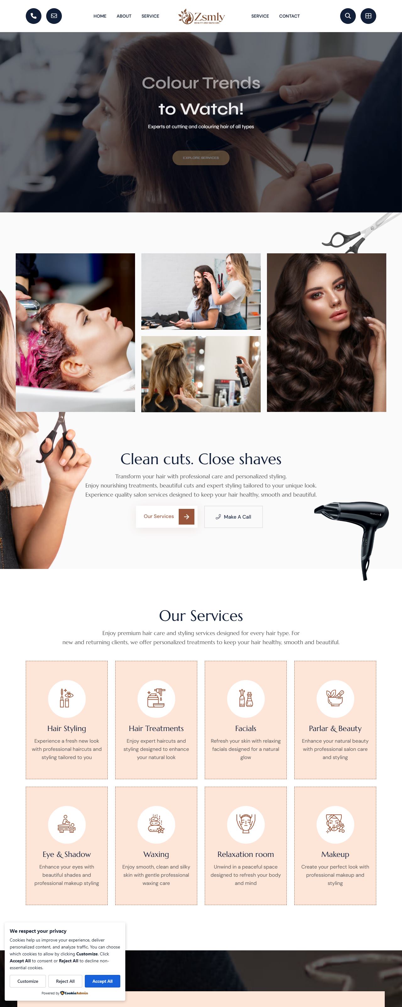 Preview of Zsmly homepage